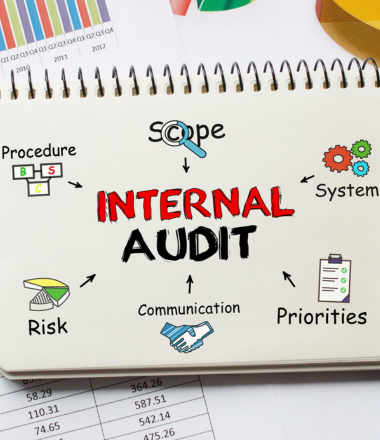 image of IP Audit