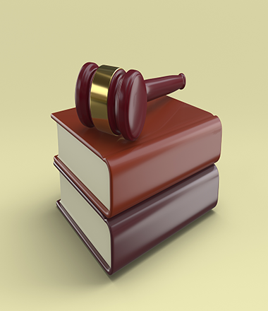 image of gavel and books indicating IP Lawsuits