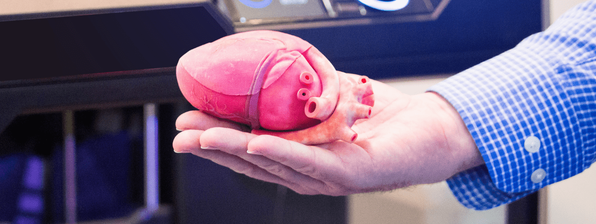 image of a 3d printed heart which confuses people of what is real and fake in a 3d printed world
