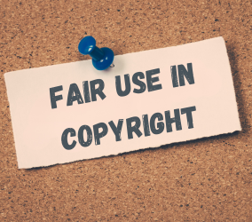 image of fair use guidelines and examples