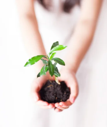 image of a lady holding new plant variety on her hands